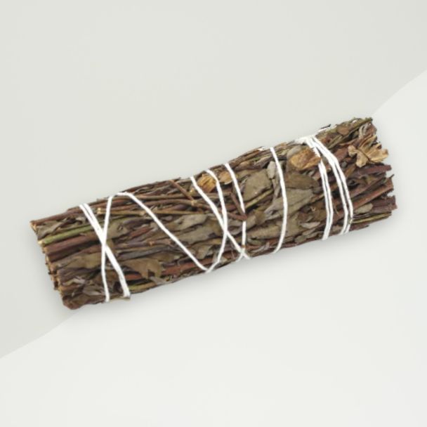Smudge Stick Brown Salvia Regla- Mountain Sage 3x2