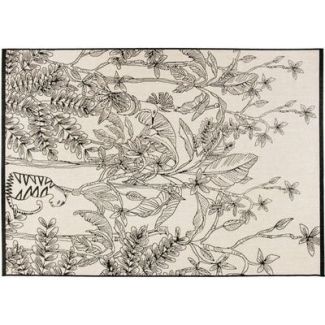 Rug Raki Neige 160 X 230