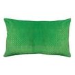 Cushion Rosetta Cactus 30 X 50 Set of 2