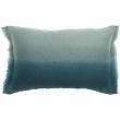 Cushion Stonewashed Zeff Shade Indigo 30 X 50