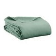 Flat Sheet Kala Sauge 240 X 300