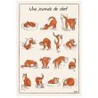 Kitchen Towel Journee De Chat Ecru 48 X 72 Set of 3