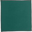 Grace Recycled Napkin Paon 40 X 40 Set of 10