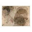 Aloyse Rug Bronze 160 X 230