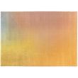 Rug Caro Multicolore 200 X 290
