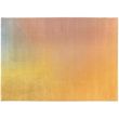Rug Caro Multicolore 200 X 290