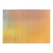Rug Caro Multicolore 200 X 290
