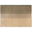 Rug Karan Thym 160 X 230
