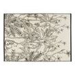 Rug Raki Neige 160 X 230