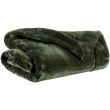 Throw Tender Fougere 150 X 200