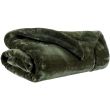 Throw Tender Fougere 150 X 200